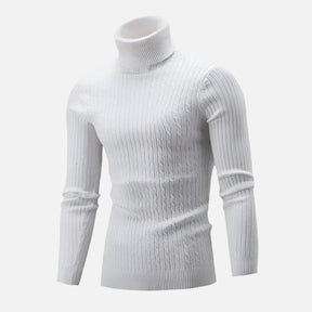 Suéter Masculino Pullover de Gola Alta Ferrutini FRT231